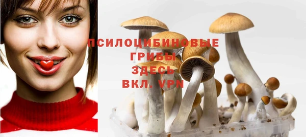 Альфа ПВП Пересвет