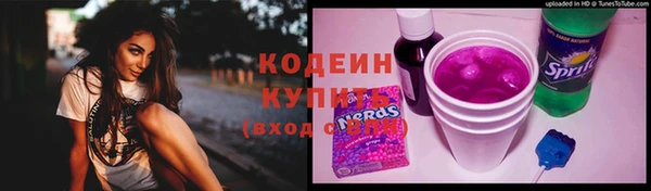 Альфа ПВП Пересвет